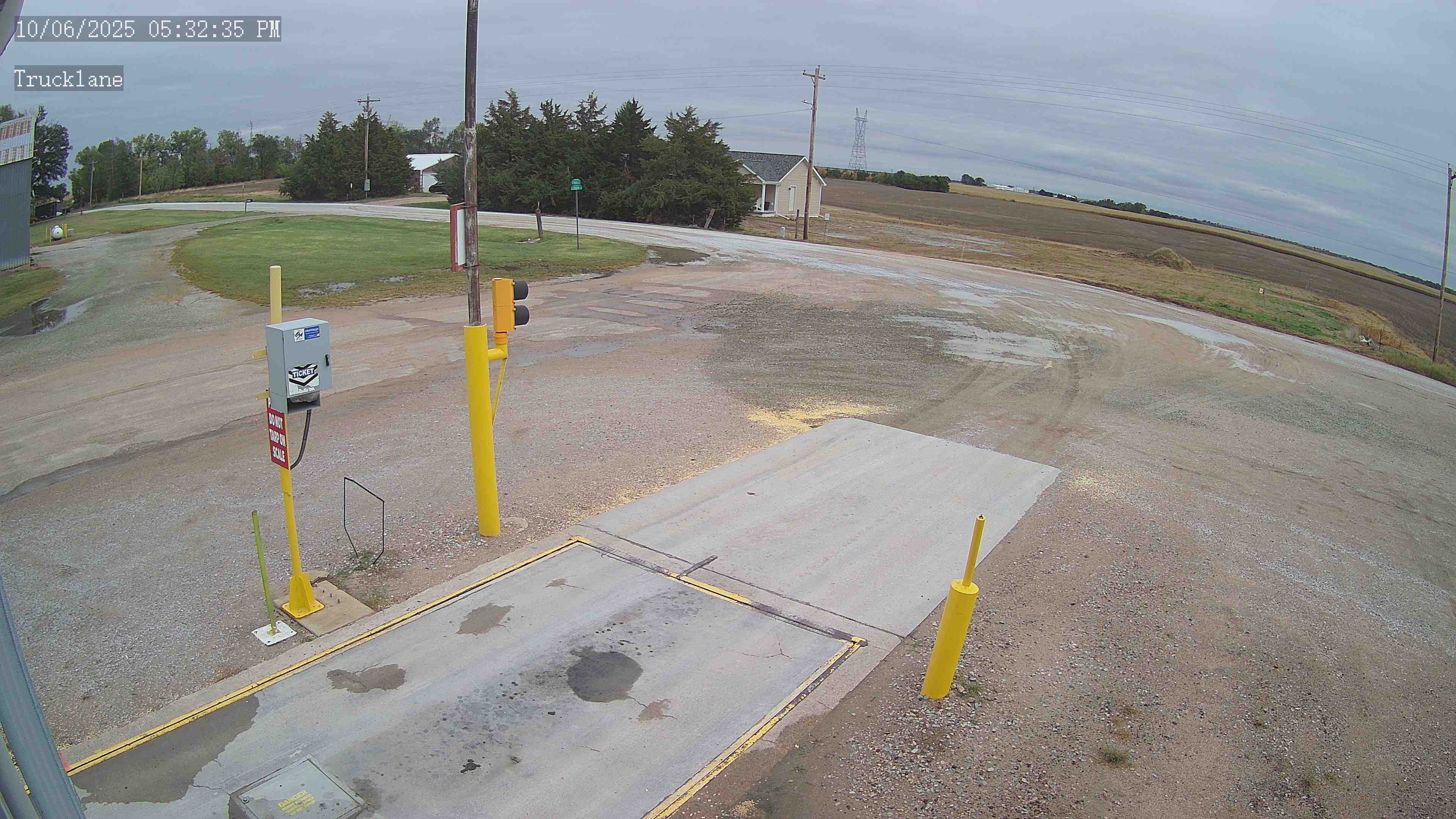 Site Camera: holstein