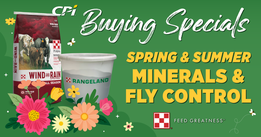 2025 Spring Mineral Specials